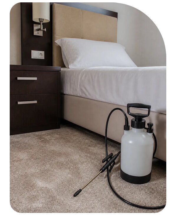 Дезинсекция гостиницы в Юрге по цене от 5348 р. | Сенат-Юрг